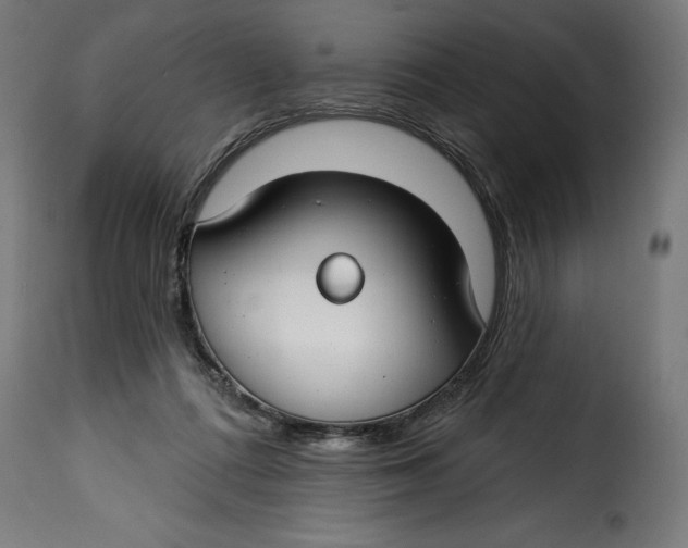 X0000115250312200911201648