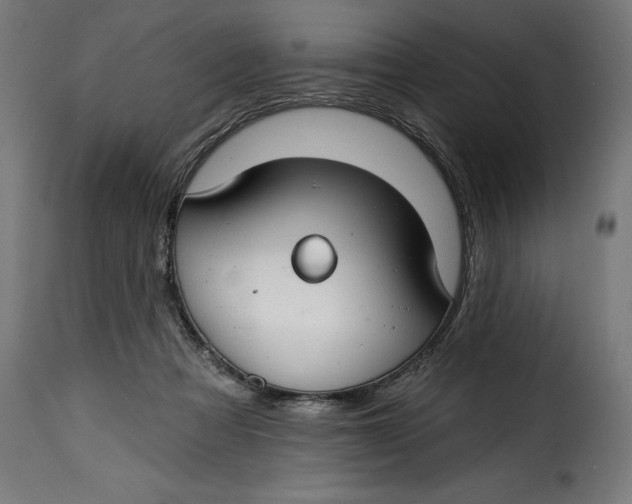 X0000115250313200911201648