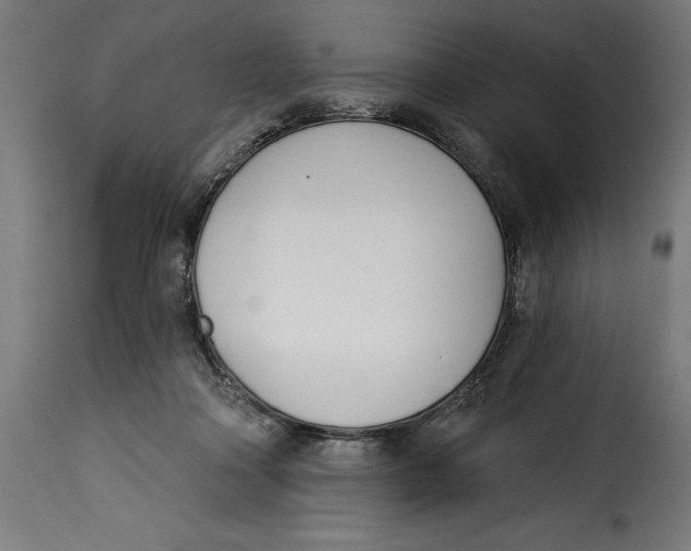 X0000115250314200911201648