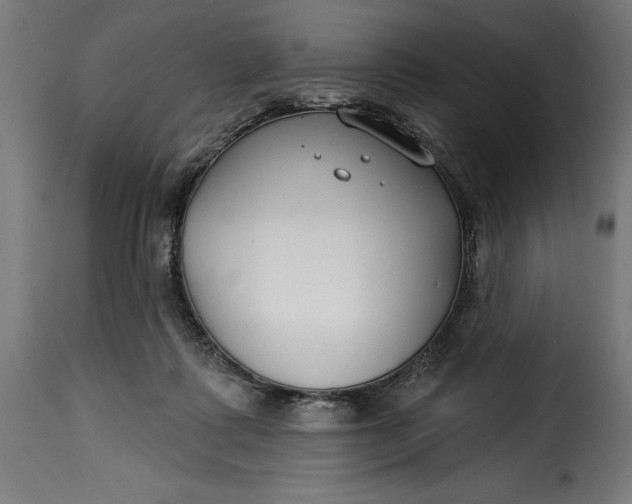 X0000115250315200911201648