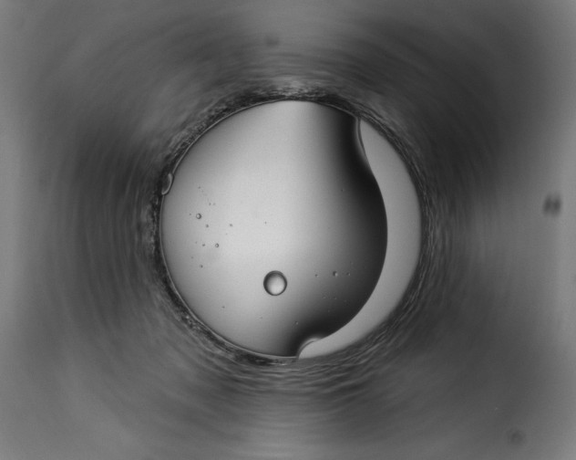 X0000115250317200911201648