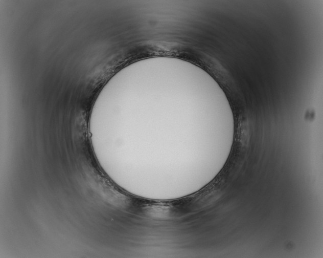 X0000115250318200911201648