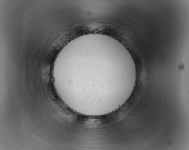 X0000115250319200911201648