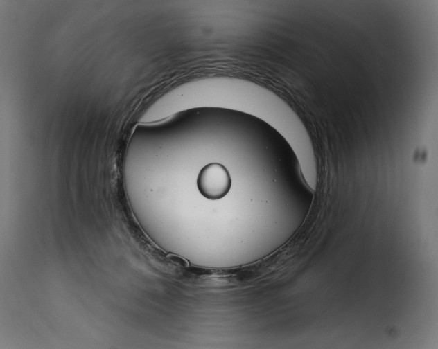 X0000115250320200911201648