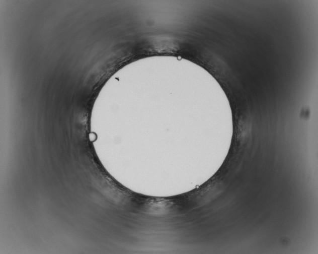 X0000115250321200911201648