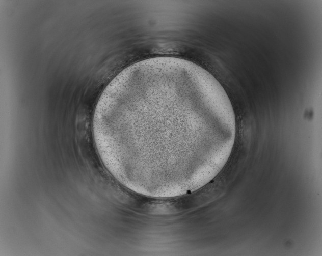 X0000115250322200911201648