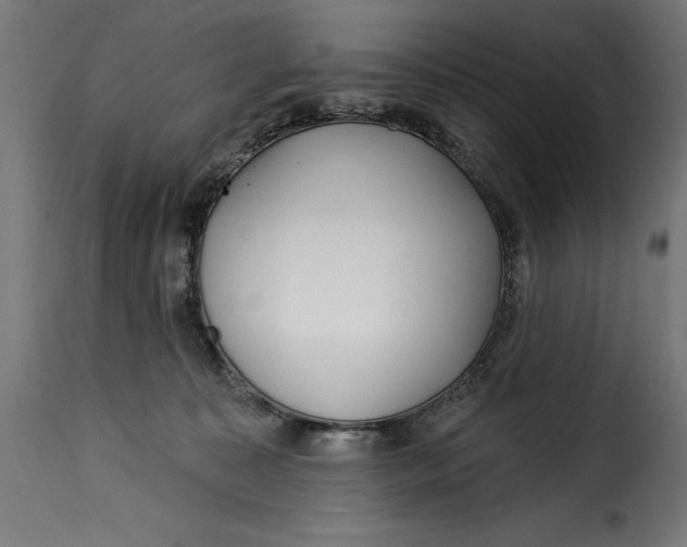 X0000115250323200911201648