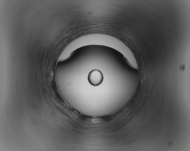 X0000115250324200911201648