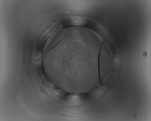 X0000115250325200911201648