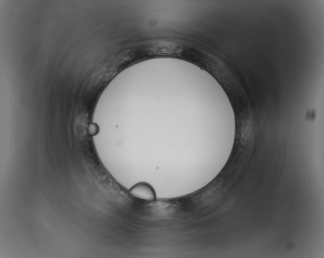 X0000115250326200911201648