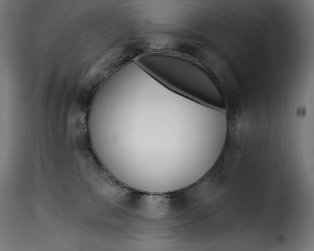 X0000115250327200911201648