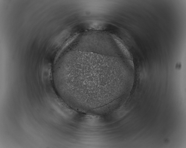 X0000115250328200911201648