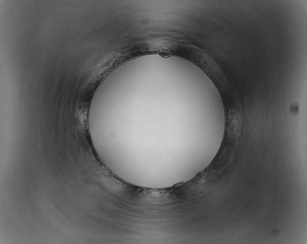 X0000115250329200911201648