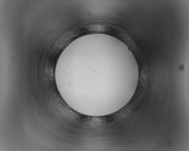 X0000115250330200911201648