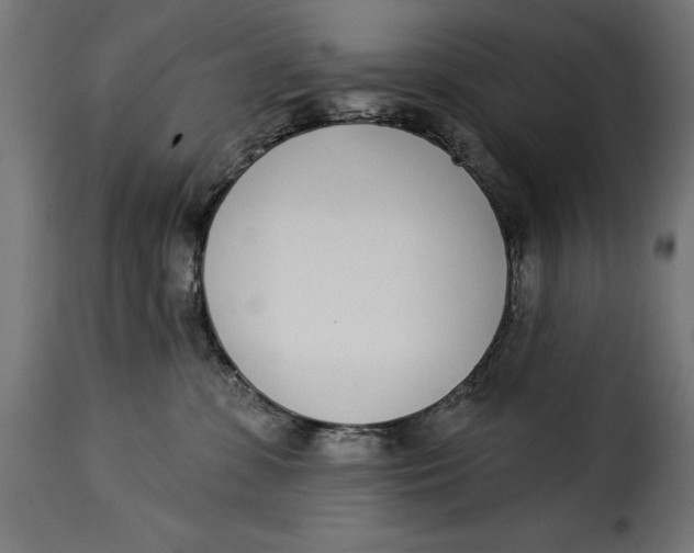 X0000115250331200911201648