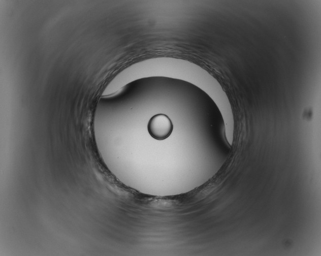 X0000115250332200911201648