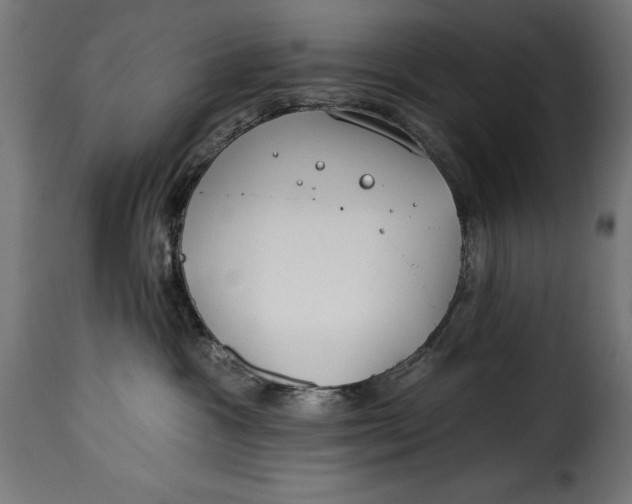 X0000115250333200911201648