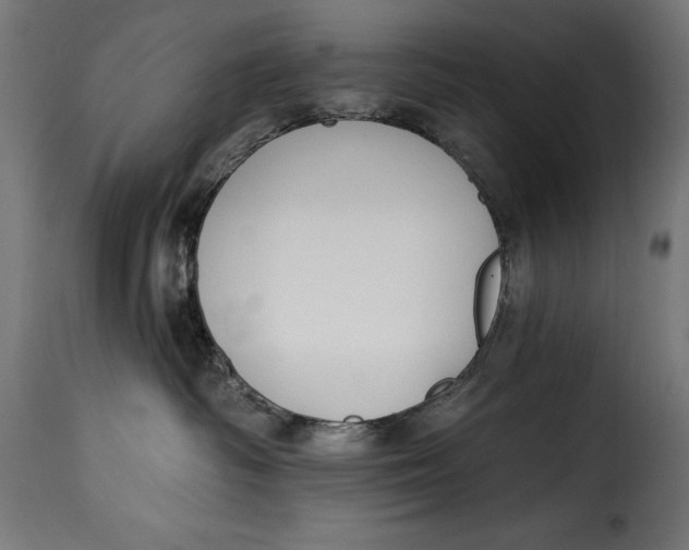 X0000115250334200911201648