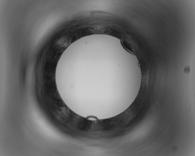 X0000115250335200911201648