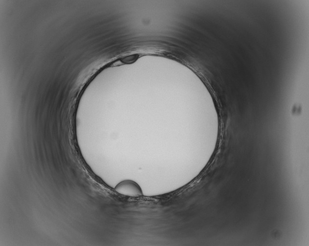 X0000115250337200911201647