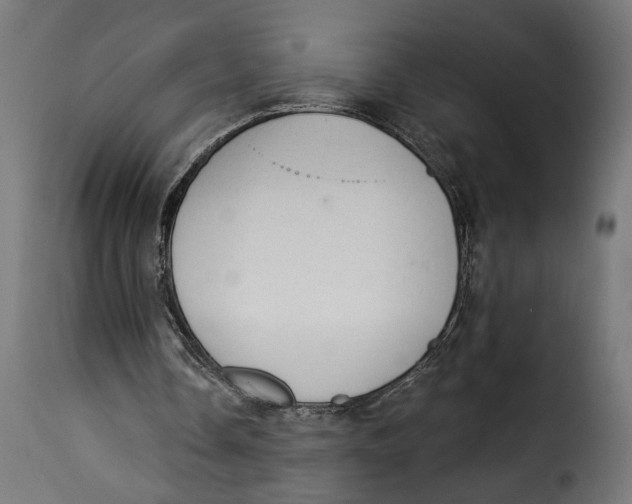 X0000115250338200911201647