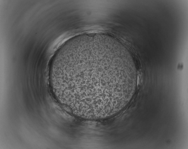 X0000115250339200911201647