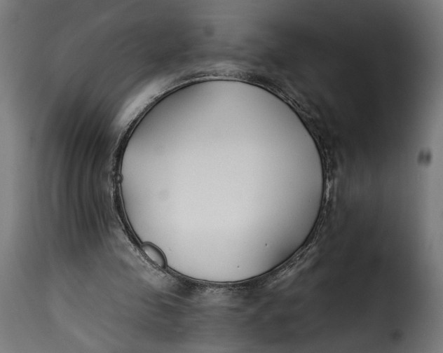 X0000115250341200911201647