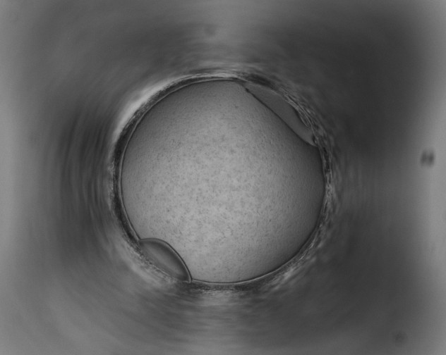 X0000115250342200911201647