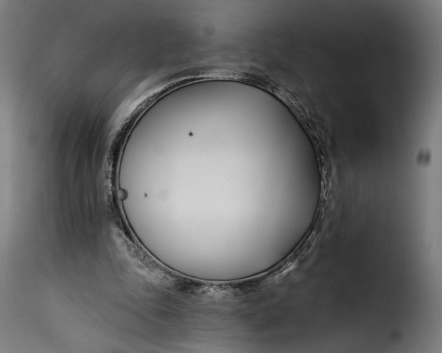 X0000115250343200911201647