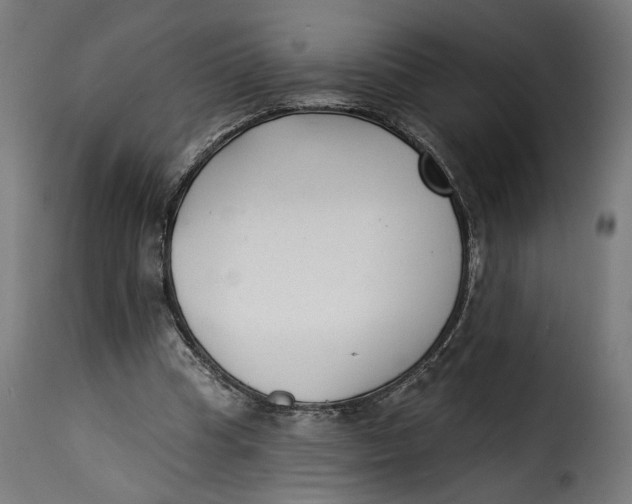 X0000115250345200911201647