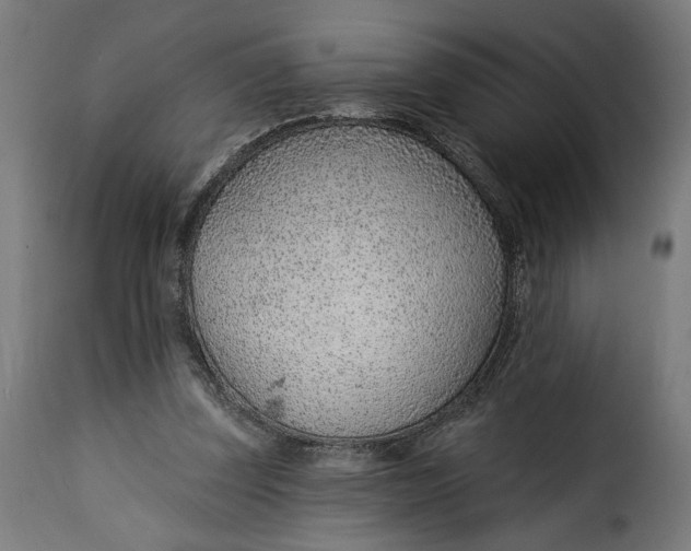 X0000115250347200911201647