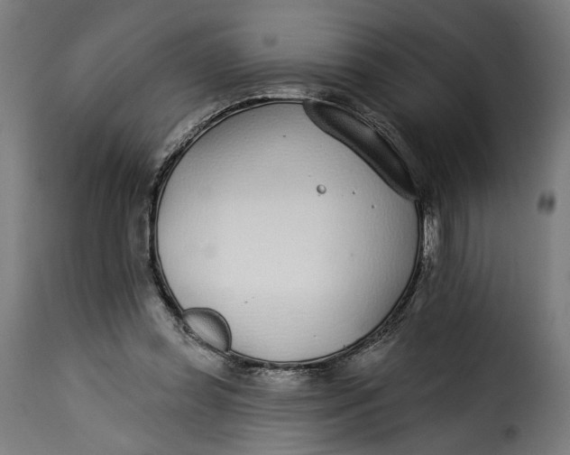 X0000115250349200911201647