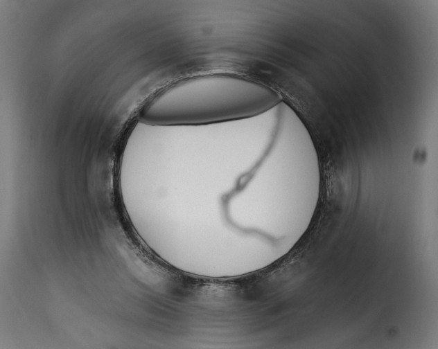 X0000115250350200911201647