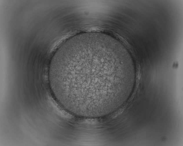 X0000115250353200911201647