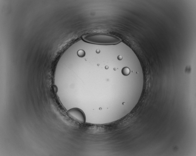 X0000115250354200911201647