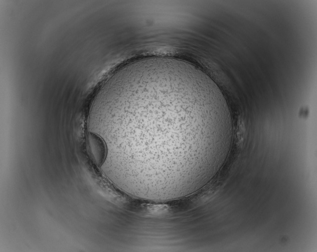 X0000115250355200911201647