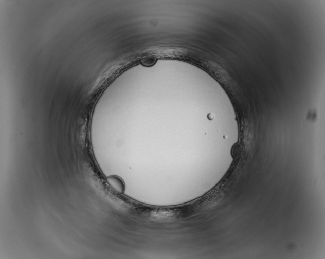 X0000115250357200911201648