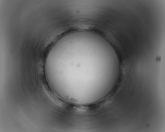 X0000115250359200911201648