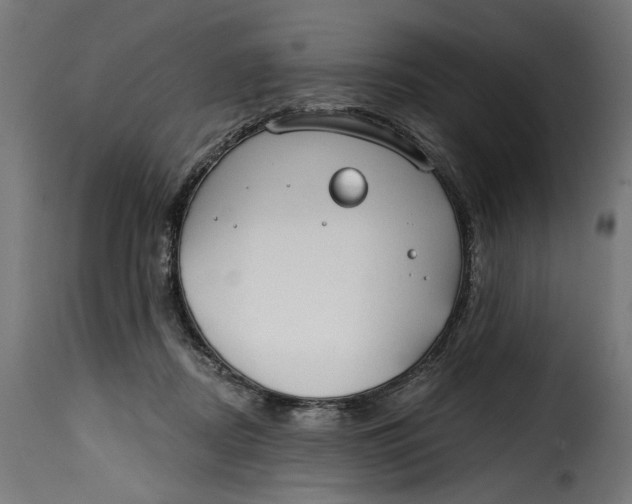 X0000115250362200911201648