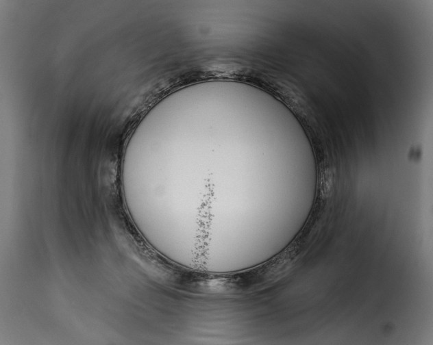 X0000115250365200911201648