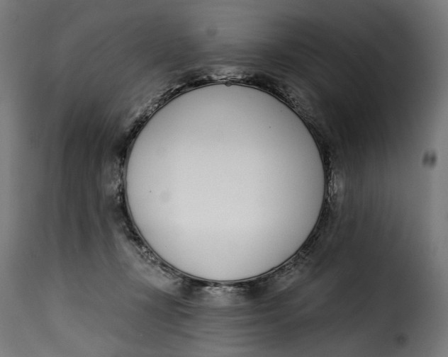 X0000115250367200911201648