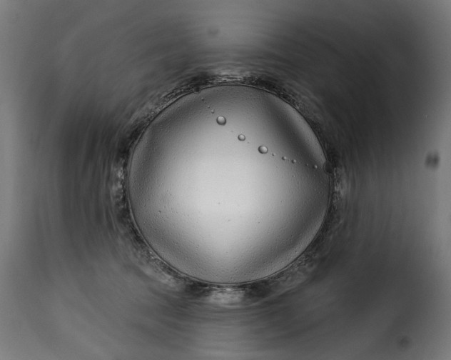 X0000115250369200911201648