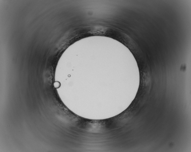 X0000115250370200911201648