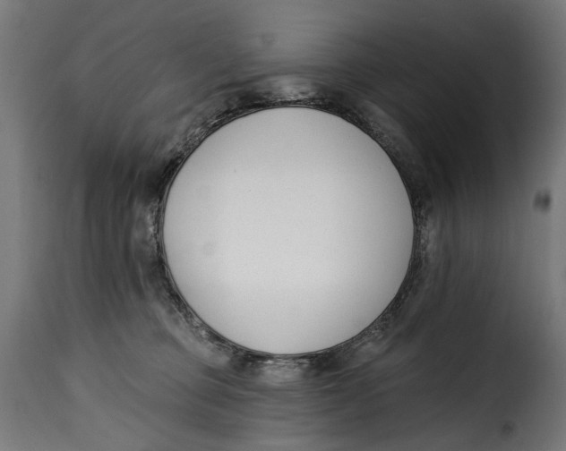 X0000115250373200911201648