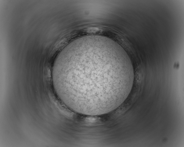 X0000115250375200911201648