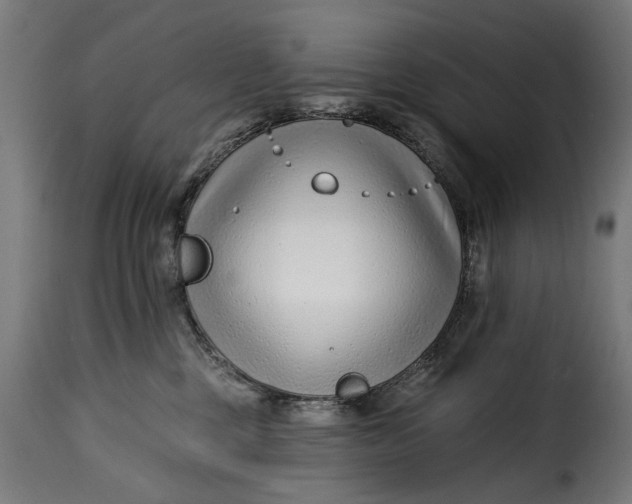 X0000115250377200911201648