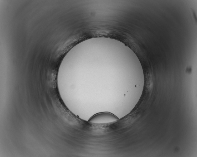 X0000115250378200911201648