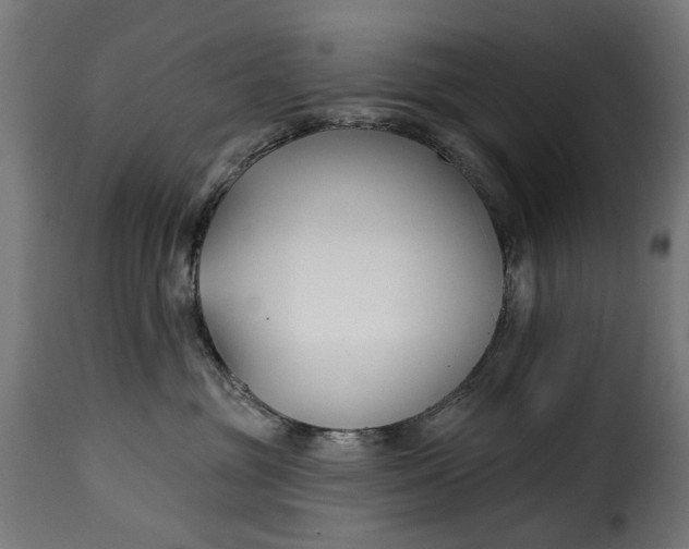 X0000115250381200911201648