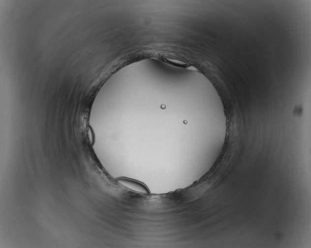 X0000115250382200911201648