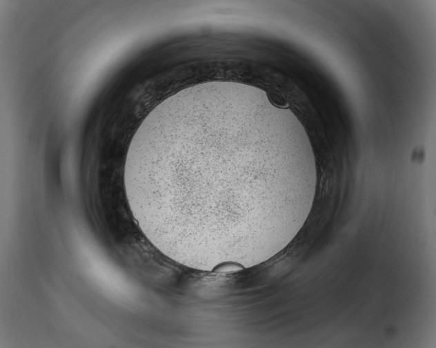 X0000115250383200911201648